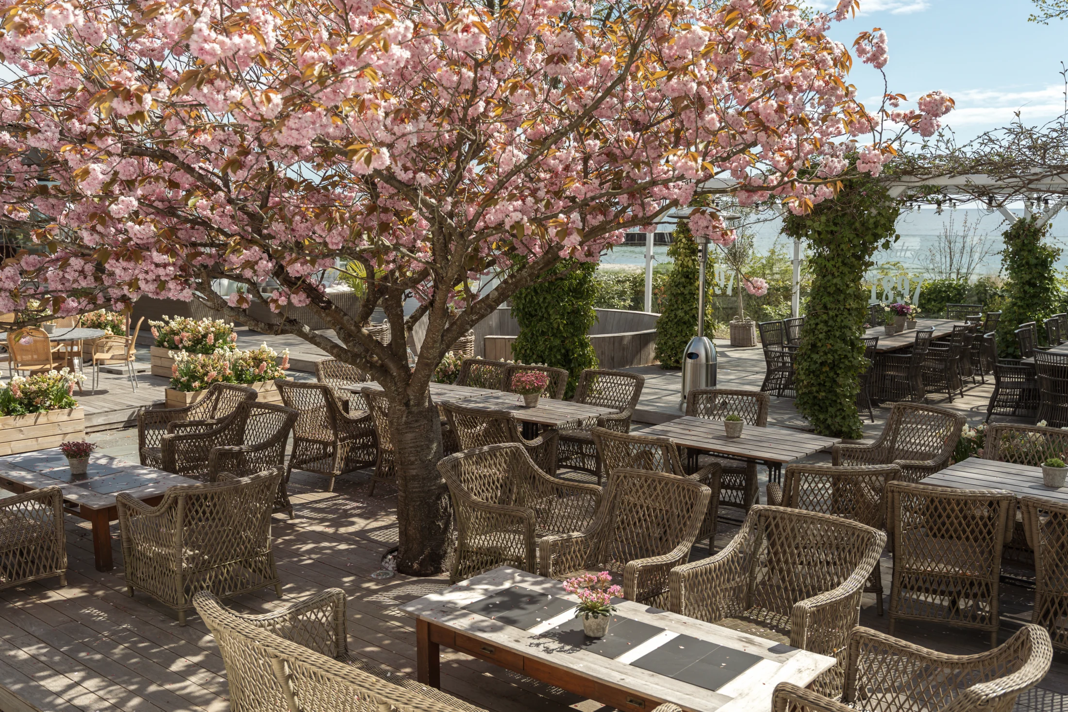 Uteservering på Ystad Saltsjöbad Uteservering på Ystad Saltsjöbad vid havet i Skåne, perfekt för lunch, middag och avkoppling på hotell i Ystad.