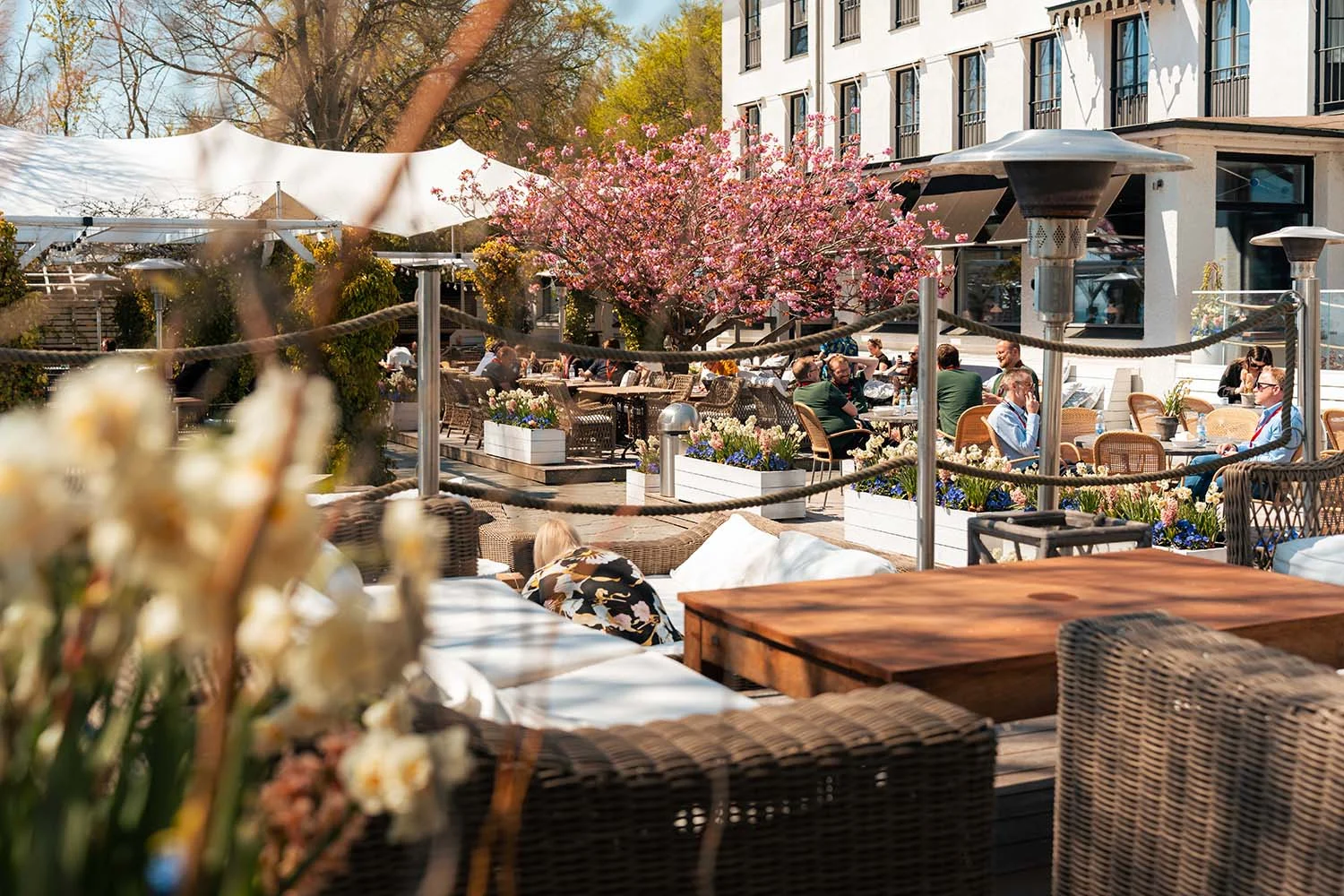 TerrassenSommaren TerrassenSommaren